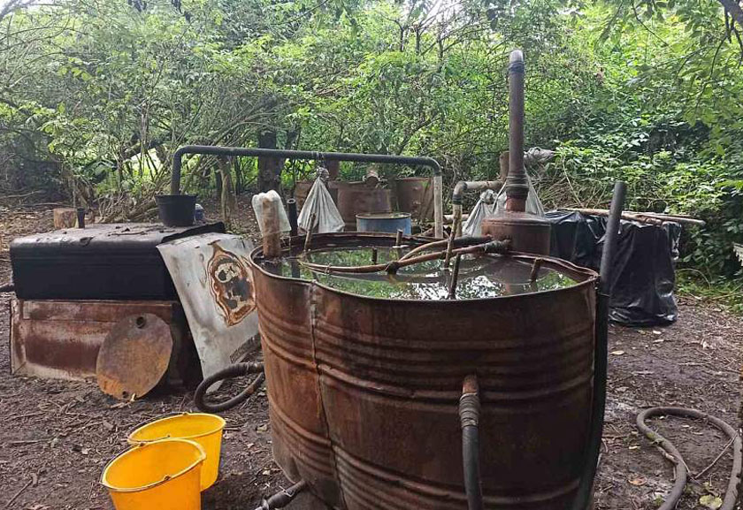 Нерадивые предприниматели. В Волковысском и Дятловском районах ликвидированы очаги самогоноварения