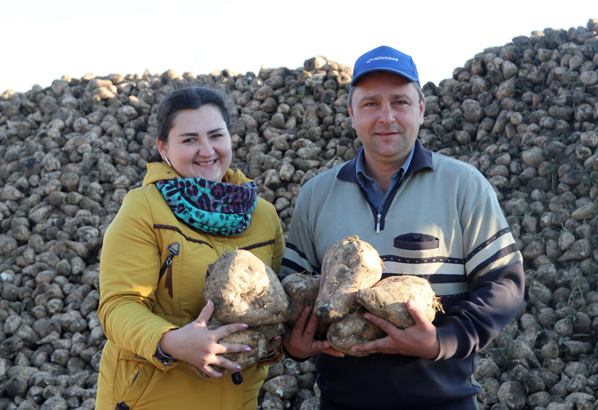 “Салодкі” ўраджай залатой восені