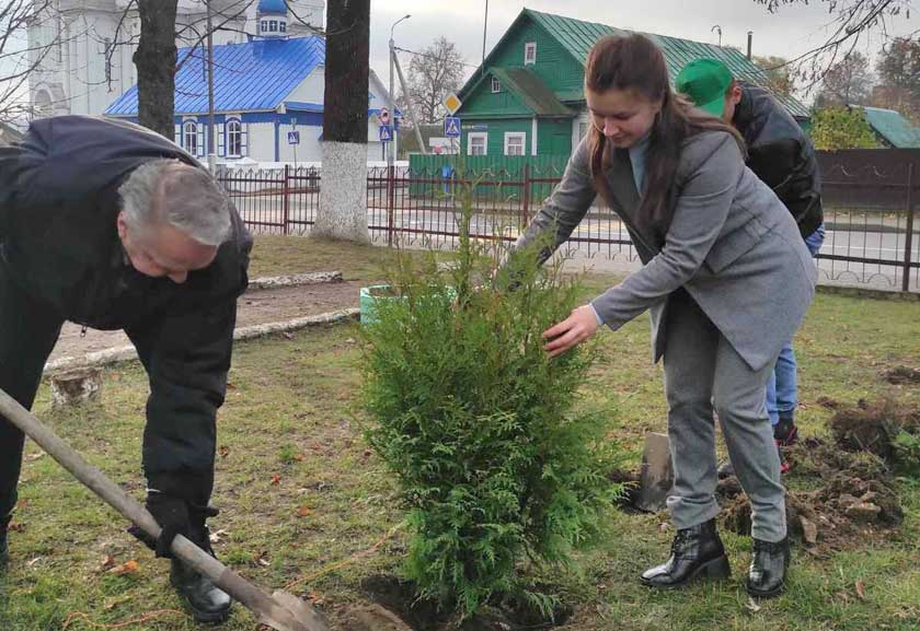 Да раённай экалагічнай акцыі “Дрэва героя” далучыліся ўстановы адукацыі Дзятлаўшчыны