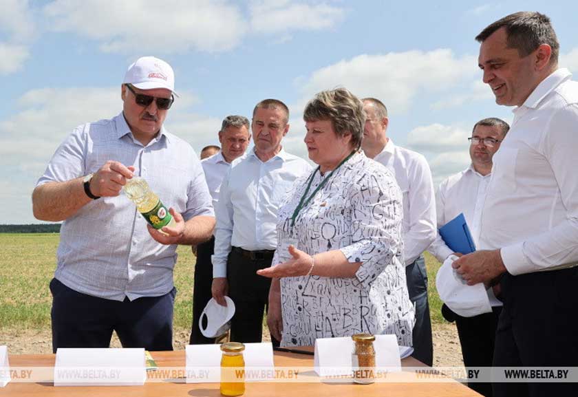 “Это революция будет на селе”. На какую сельхозкультуру Александр Лукашенко сделал верную ставку?
