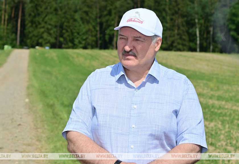 Переломный момент в сельском хозяйстве. Какой сельхозкультуре Александр Лукашенко уделяет особое внимание
