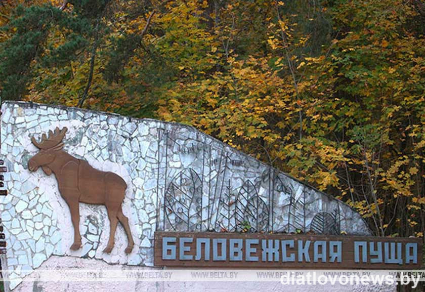 “Со сказочными помощниками найти Деда Мороза”: программу для всей семьи подготовили в Беловежской пуще