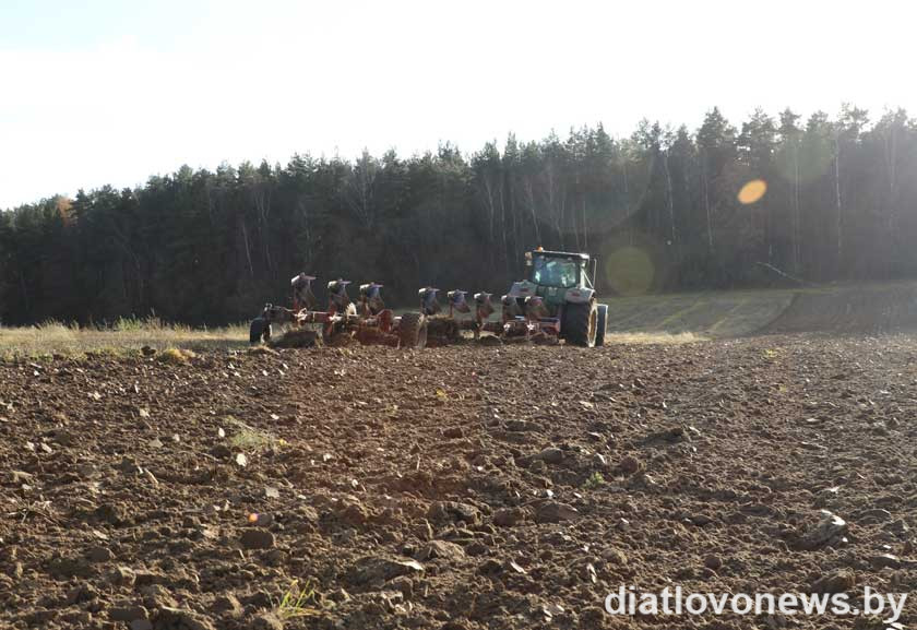 Сельская гаспадарка. На Дзятлаўшчыне паднімаюць зябліва