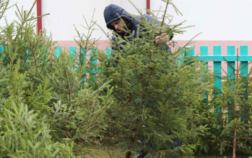 Ёлачны базар у Дзятлаве