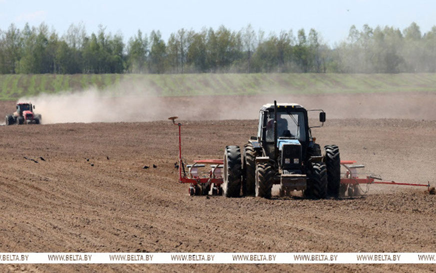 В Беларуси завершили сев яровых и кукурузы