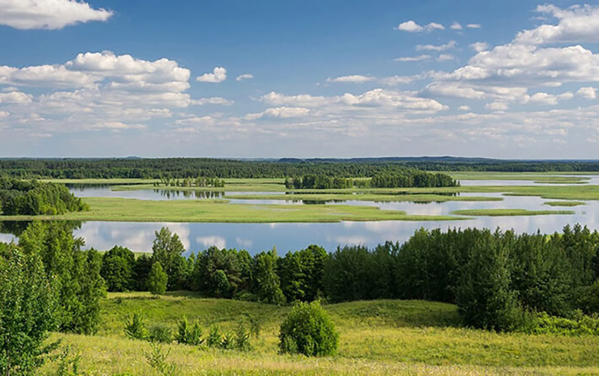 Творчество наших читателей