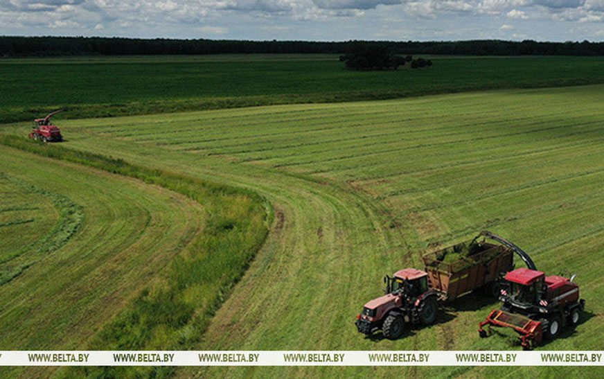 В Беларуси травы первого укоса скошены более чем на 23% площадей