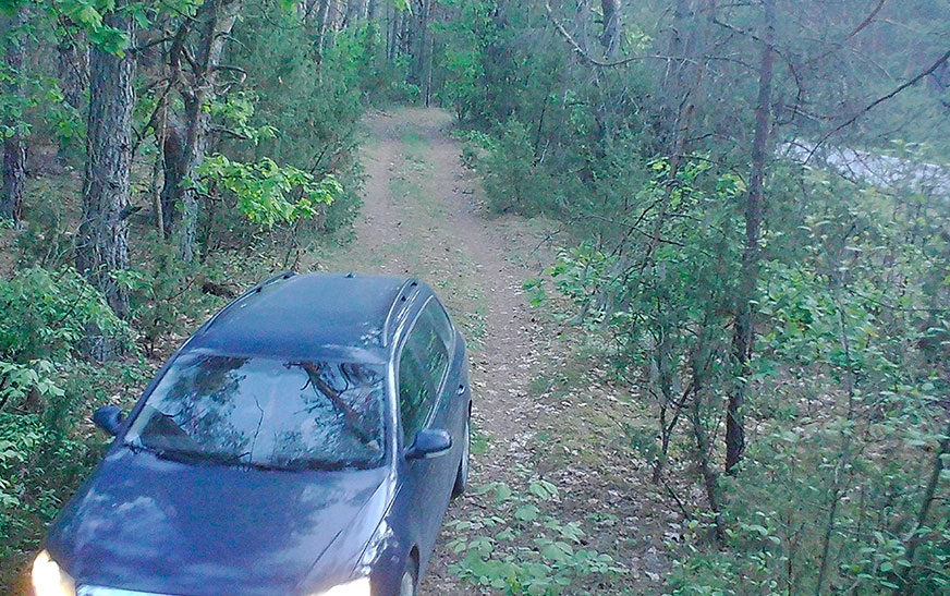 ГрадусПлюс. Лес не месца для смецця!