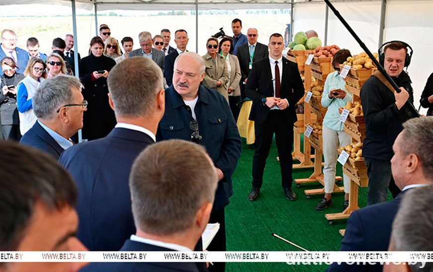 Лукашенко о хранении и реализации картофеля: нужно на полную катушку подключать торговые сети