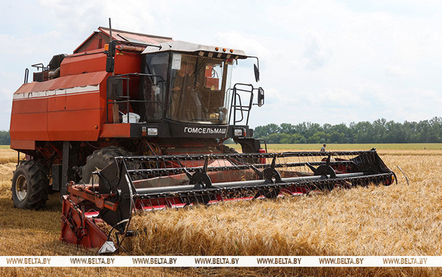 Белорусские аграрии намолотили 4 млн тонн зерна