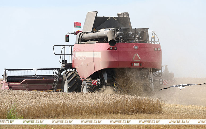 Белорусские аграрии намолотили 5 млн тонн зерна