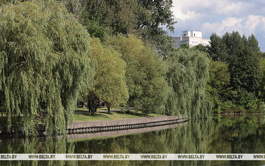 До +29°С и в основном без осадков. Какой будет погода в первый день осени 