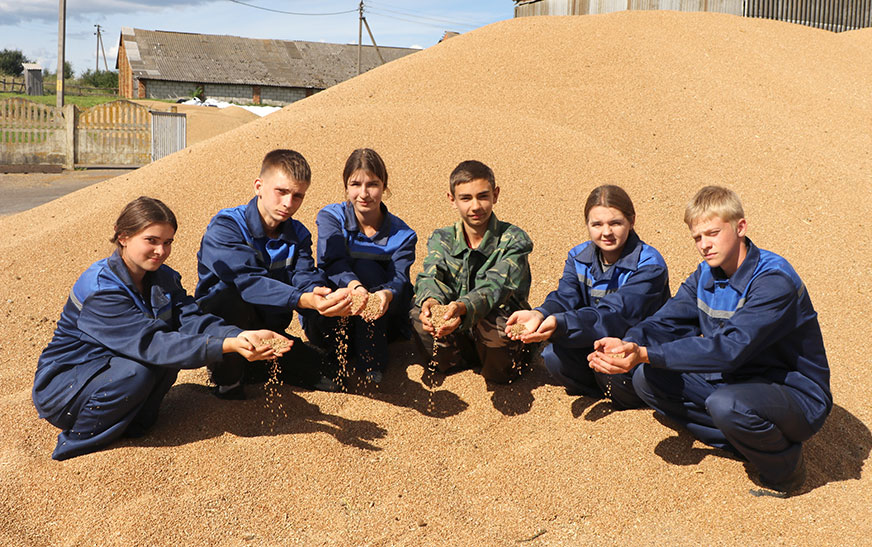 Дружнае працоўнае лета