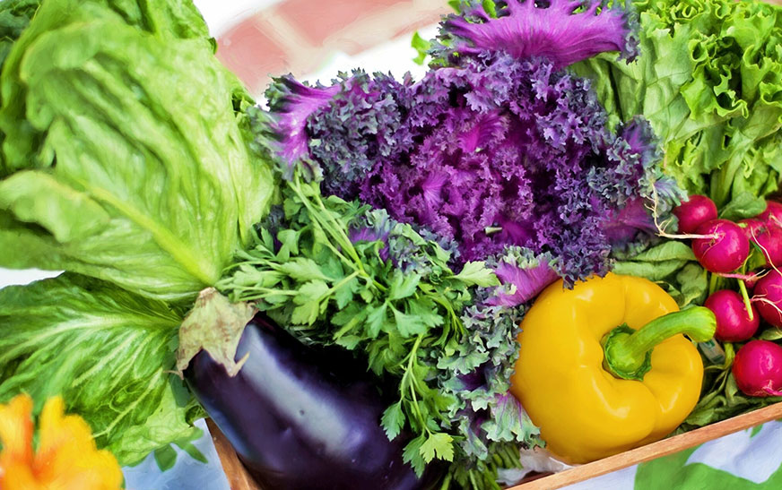 Летние дары