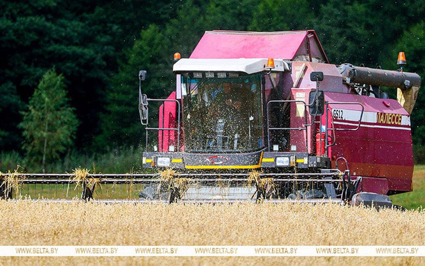 Белорусские аграрии намолотили 9 млн тонн зерна 