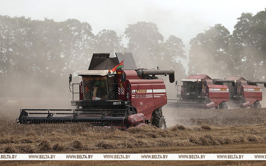 Аграрии Беларуси намолотили свыше 9 млн тонн зерна