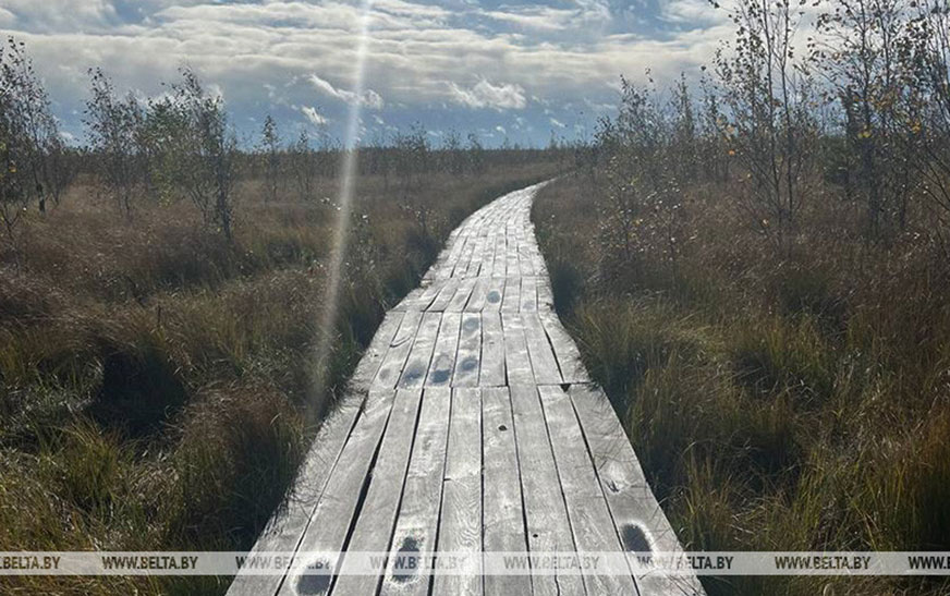 Где находятся самые интересные экотропы Беларуси, рассказал эксперт