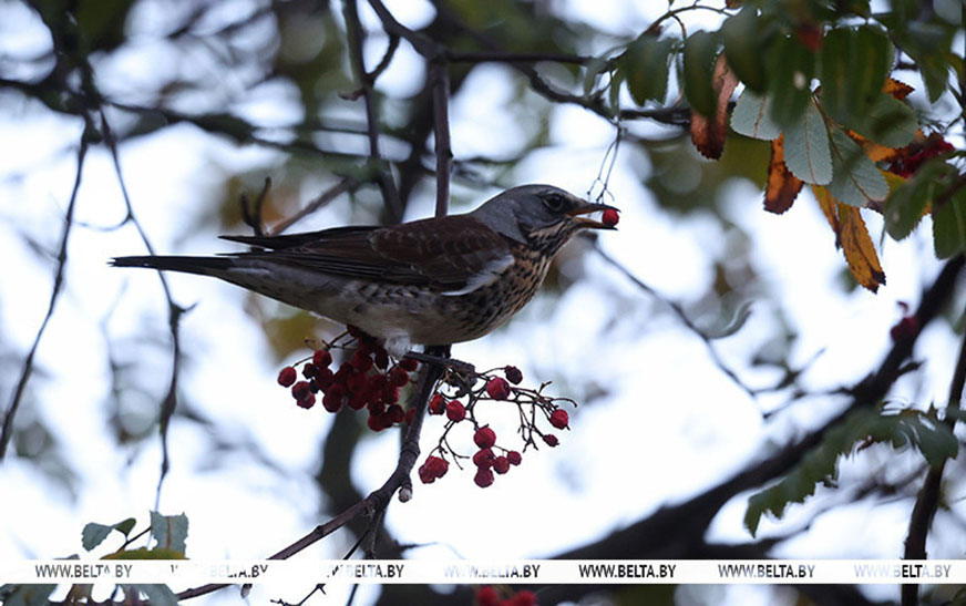 Дмитрий Рябов о погоде на неделю: ожидать комфортного тепла не стоит