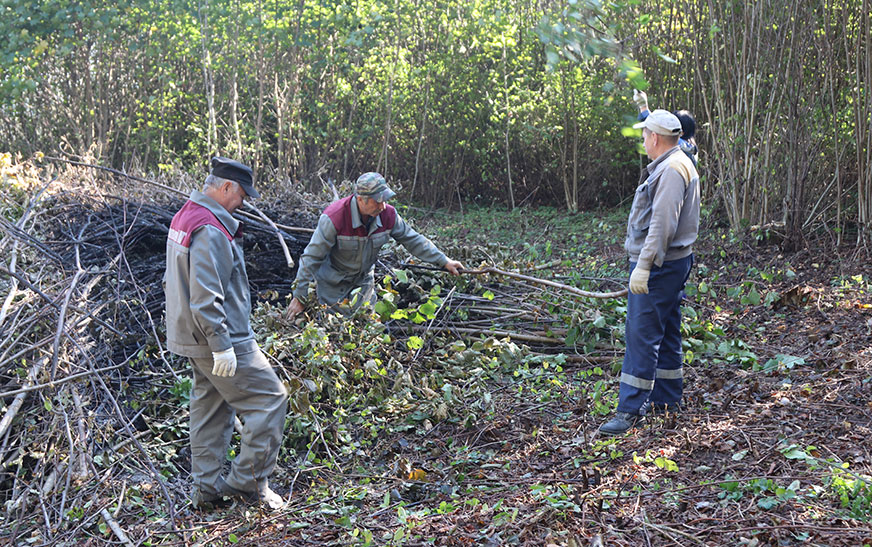Год добраўпарадкавання. Сумеснымі намаганнямі да чысціні і прыгажосці