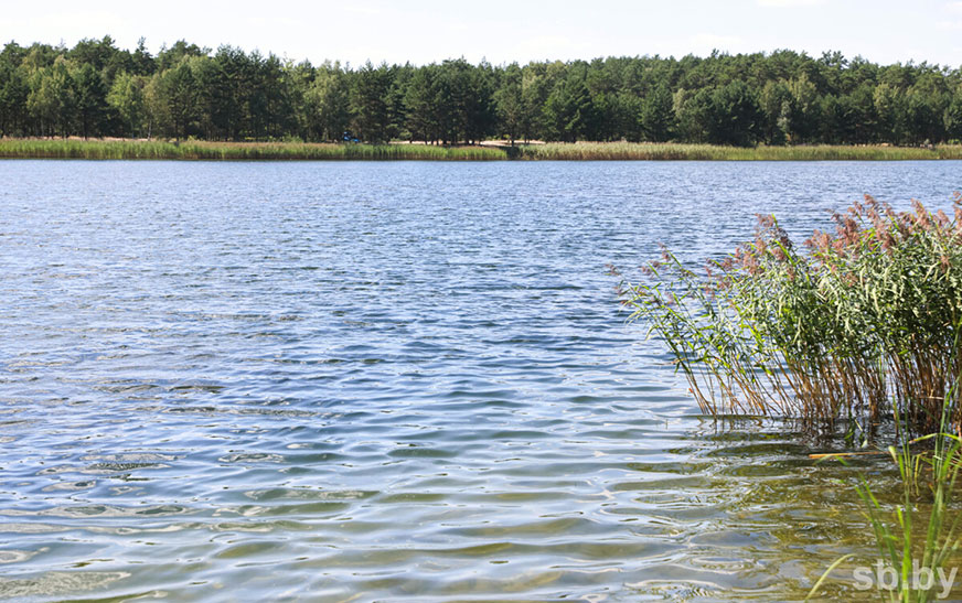 Погода в выходные: преимущественно без осадков и до +29 °С