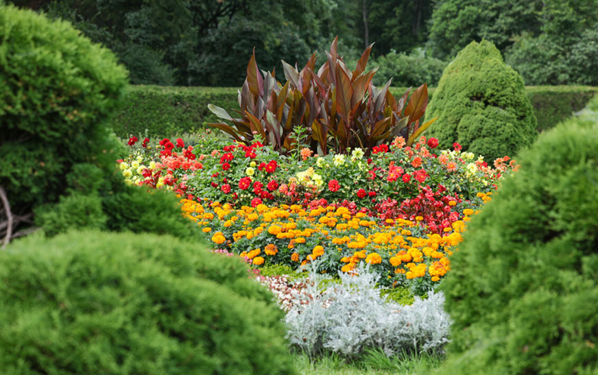 Погода в Беларуси 14 сентября: без осадков и от +20 °С до +25 °С