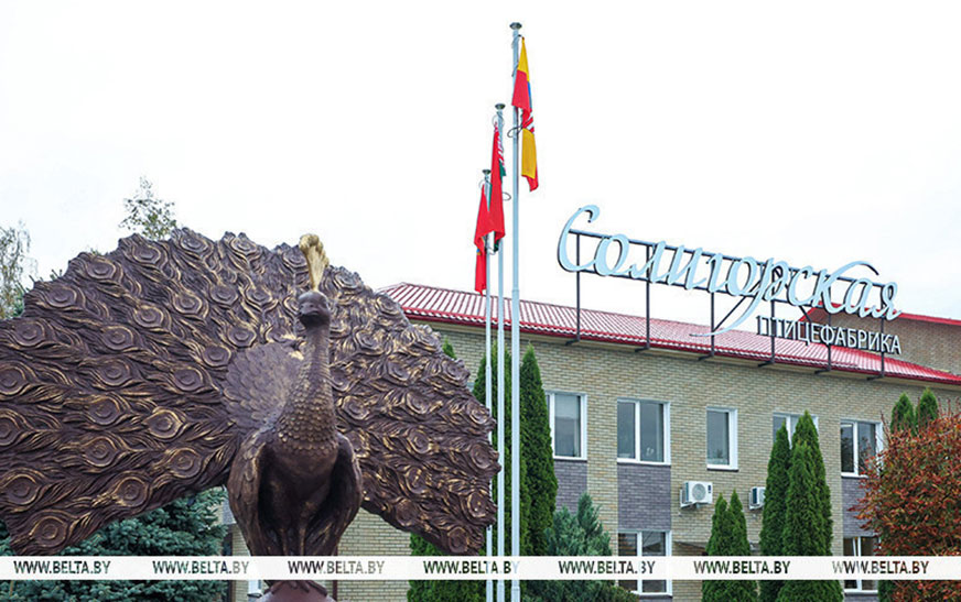 Александр Лукашенко знакомится с развитием в Беларуси птицеводческой отрасли