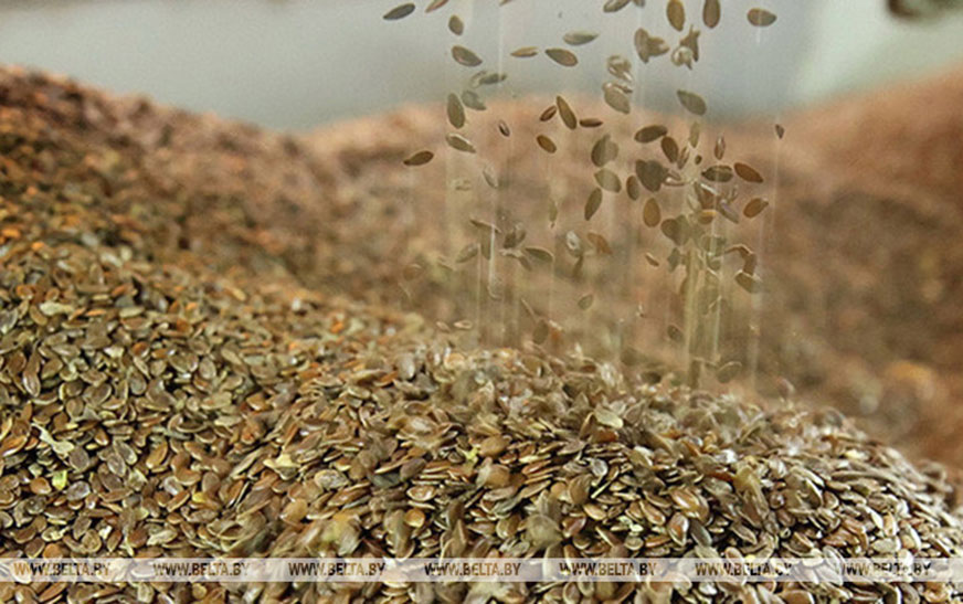 В Беларуси актуализирован порядок удешевления семян сельхозрастений