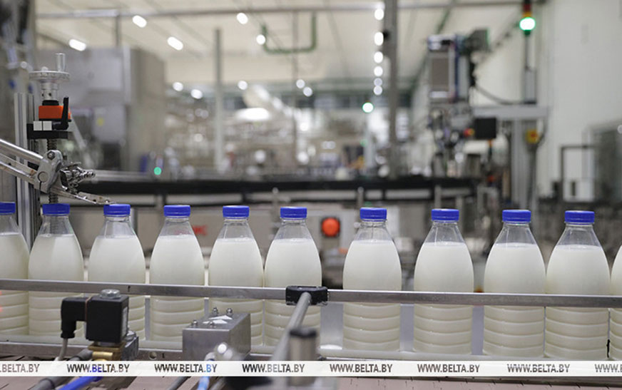 Производство сельхозпродукции в Беларуси в январе-ноябре увеличилось на 2,6%