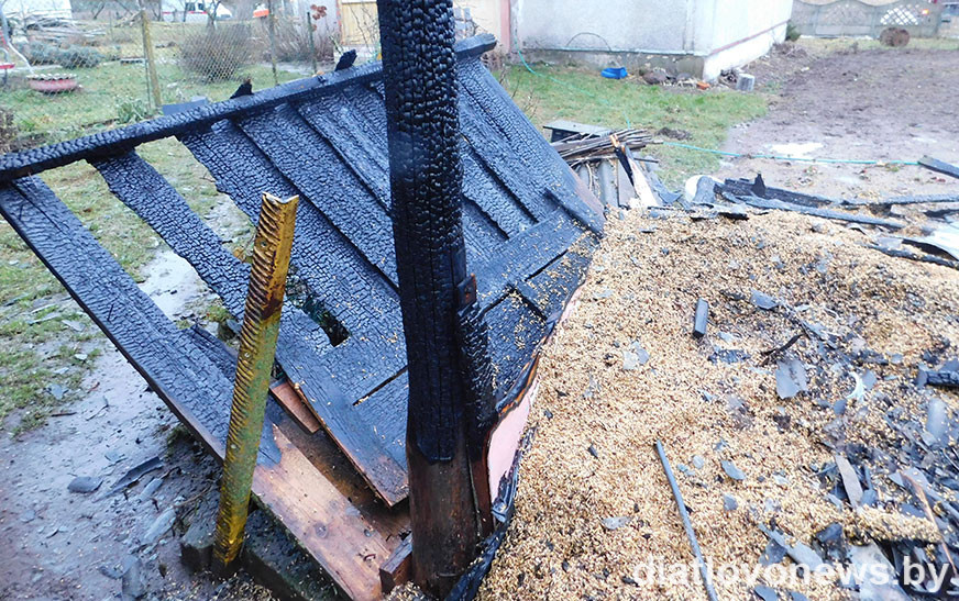 В Горке горела хозяйственная постройка