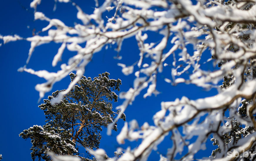 Погода в Беларуси 28 января: оранжевый уровень опасности из-за гололедицы и сильного снега и от -8 °С до +2 °С