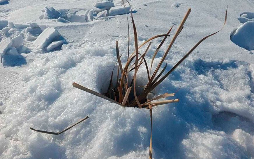 Обращение к гражданам за помощью в сохранении рыбных ресурсов на водоемах Дятловского района