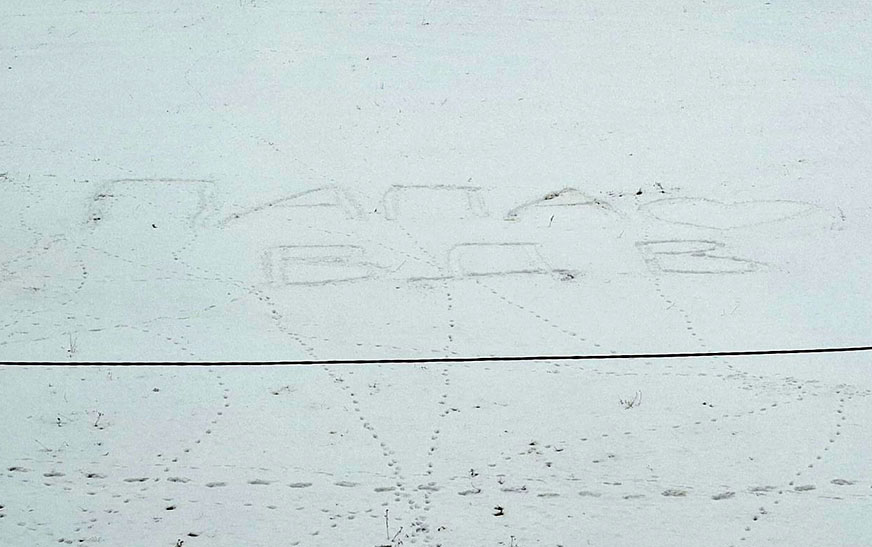 Прекрасная, теплая, эмоциональная поздравительная надпись «ПАПА 💖ВДВ» появилась сегодня под окнами Дятловской центральной районной больницы