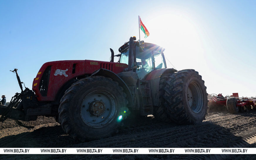 Массовый сев ранних яровых зерновых и зернобобовых культур начался в Беларуси