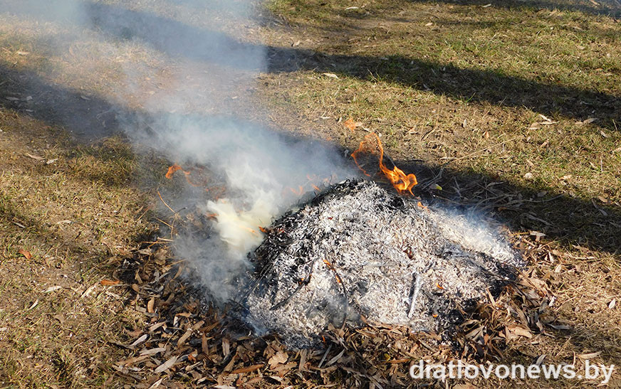В Гродненской области с начала года произошло 25 пожаров из-за палов травы