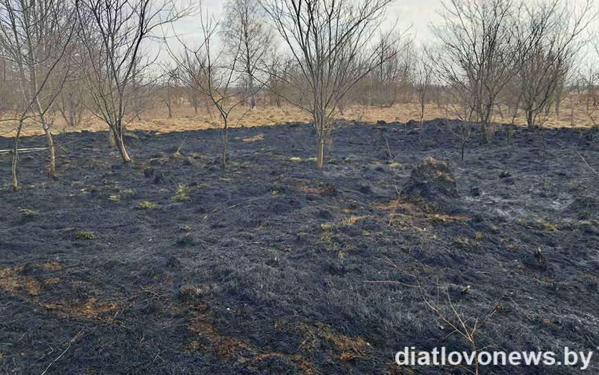 Наведение порядка в Трухоновичах привело к загоранию сухой растительности