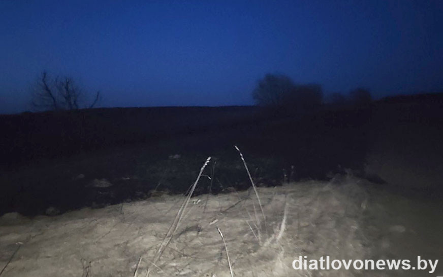Загорание сухой растительности возле деревни Ненадовичи