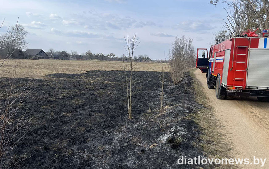 Загорание сухой растительности в деревне Скипоровичи