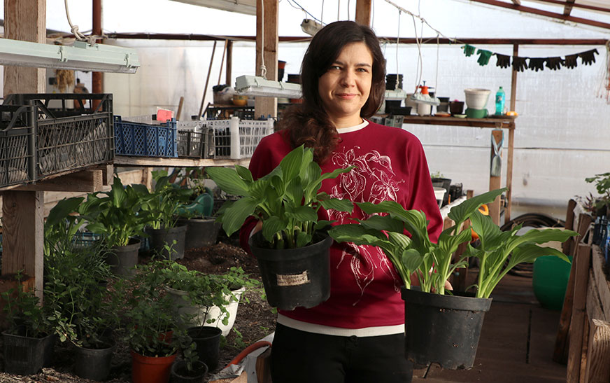 Якія кветкі ўпрыгожаць Дзятлаўшчыну?