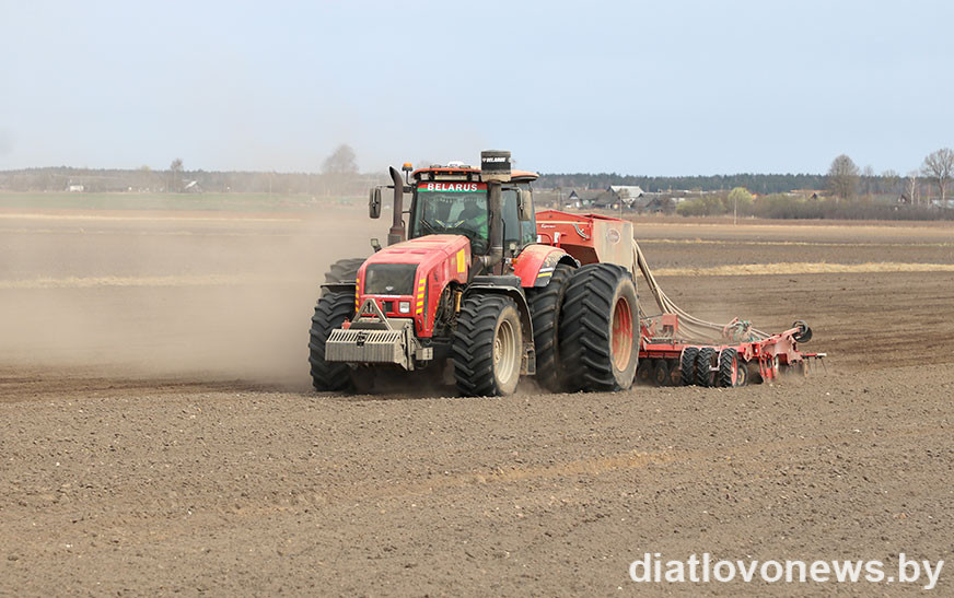 За новыми сортами – будущее. Какие вопросы структуры посевов страны сейчас на первом месте