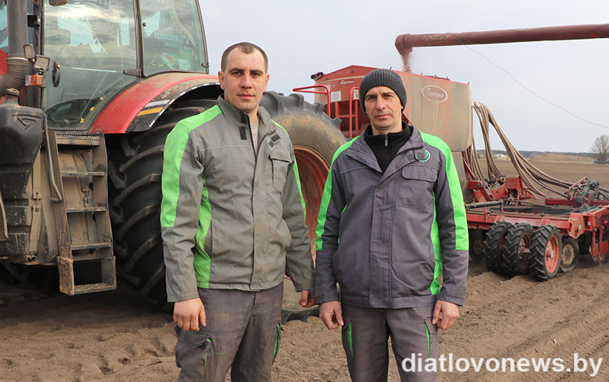 У СГФ “АграМілк” пачалі сезон з гароху