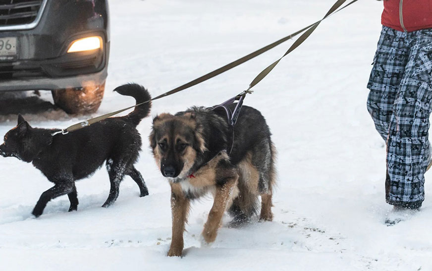 ГрадусПлюс. Пейзаж з непрыемнымі дэталямі