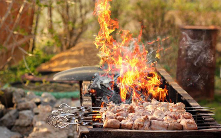 Как пожарить шашлык и не сжечь дачу? Советы МЧС перед выходными