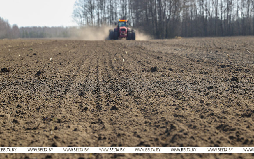 Александр Лукашенко доложили о ходе весенних полевых работ в Беларуси