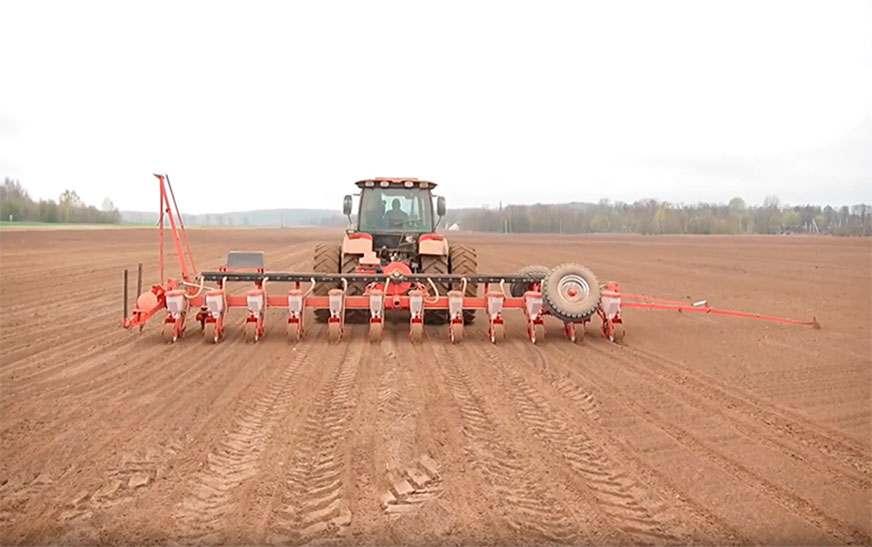 Белорусские аграрии приступят к пробному севу союзного гибрида свеклы 