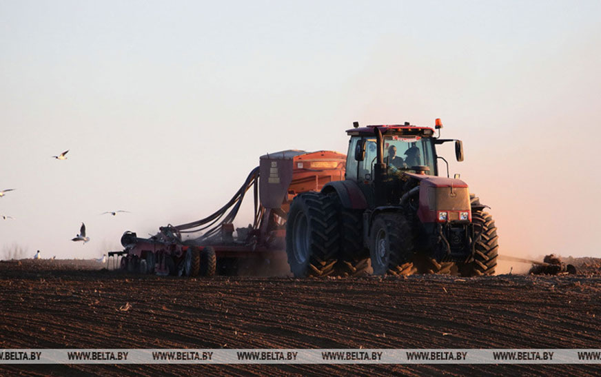 Дисциплина и сохранность имущества: милиция Гродненской области проводит рейды по объектам АПК