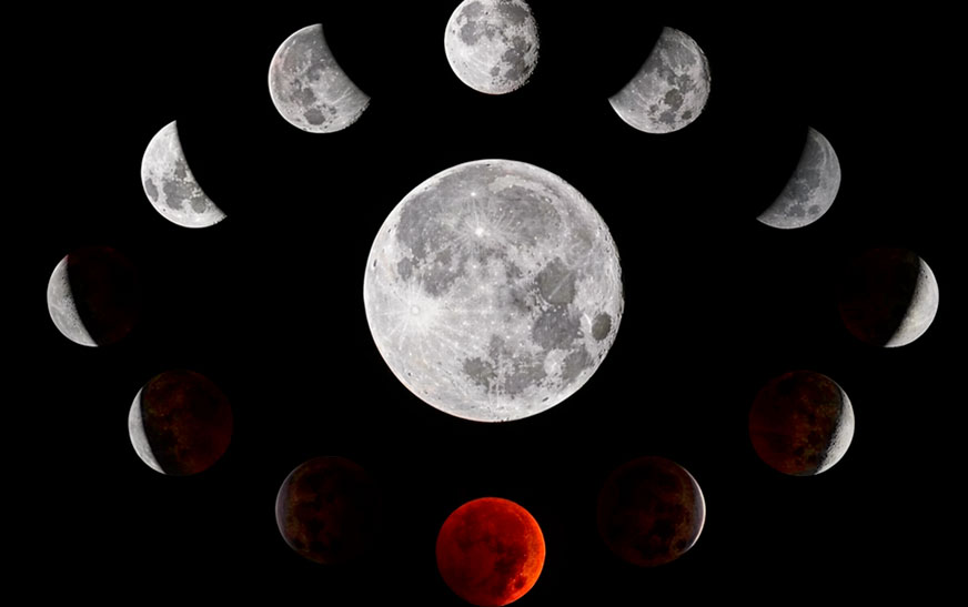 Лунный календарь для садоводов и огородников с 21 по 23 апреля 2026 года