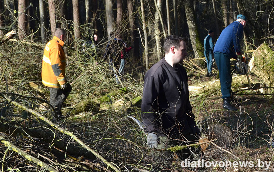 Гаспадарскі падыход. Праваахоўнікі – за парадак