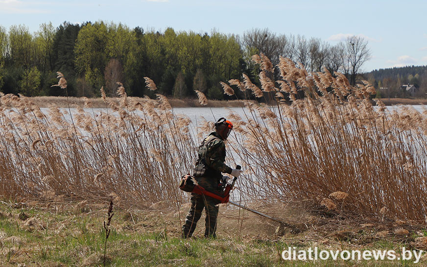 Гаспадарскі падыход. Новаяльнянцы талакой наводзяць парадак на вадасховішчы