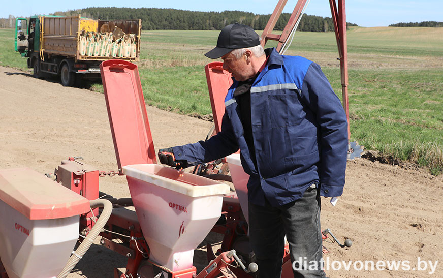 У рабоце – беларускія гібрыды