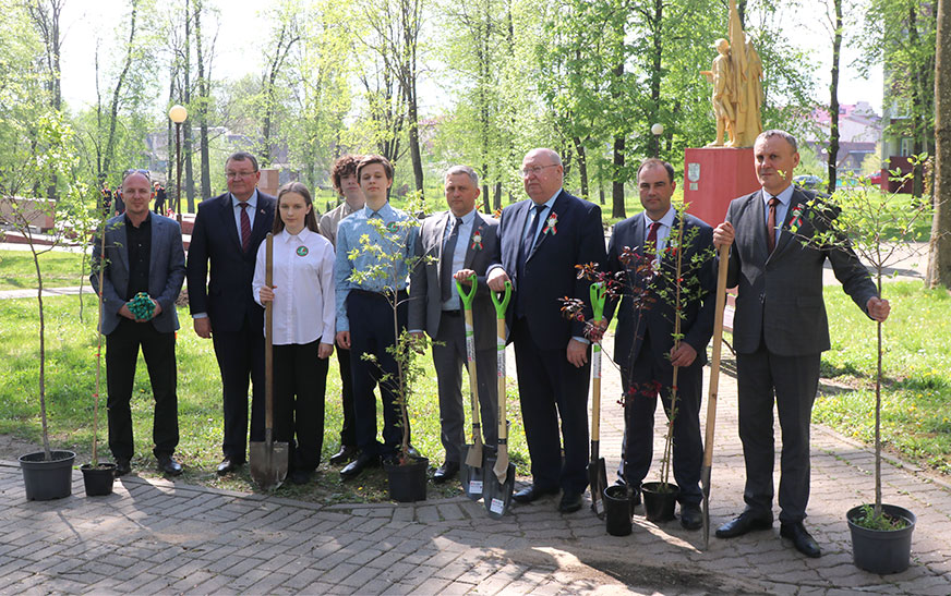 Дрэўцы ў парку ў памяць аб загінулых